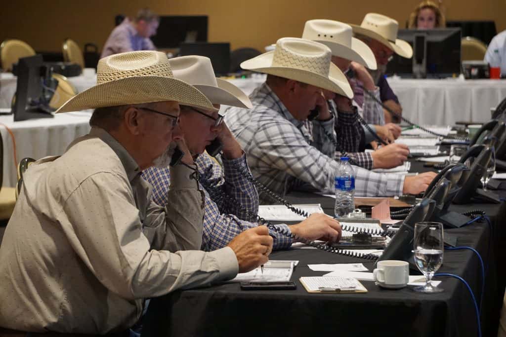 Superior Livestock Auction Holds Big Sky Roundup in Billings Northern