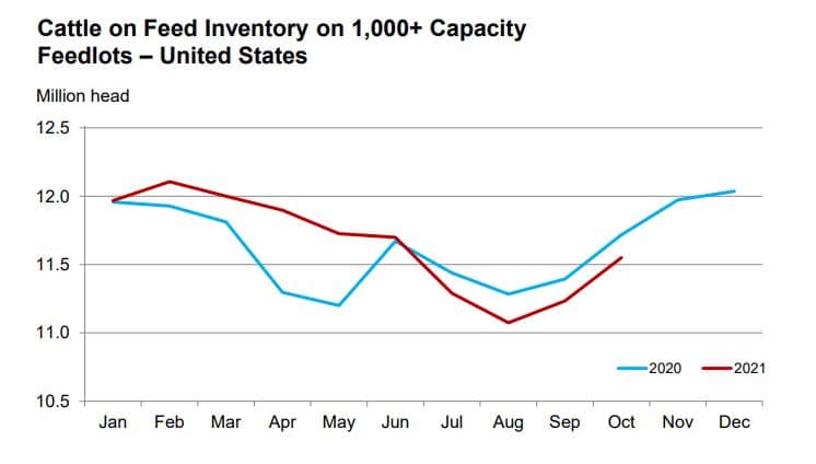 feeder cattle futures graph